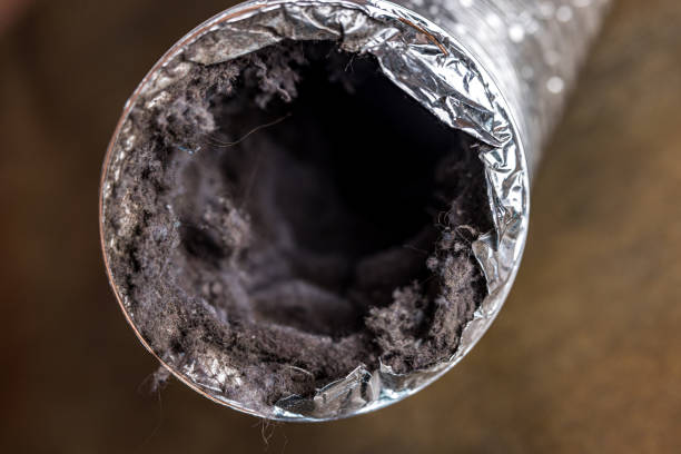 Best Dryer Vent Cleaning Services  in Brentwood, MO